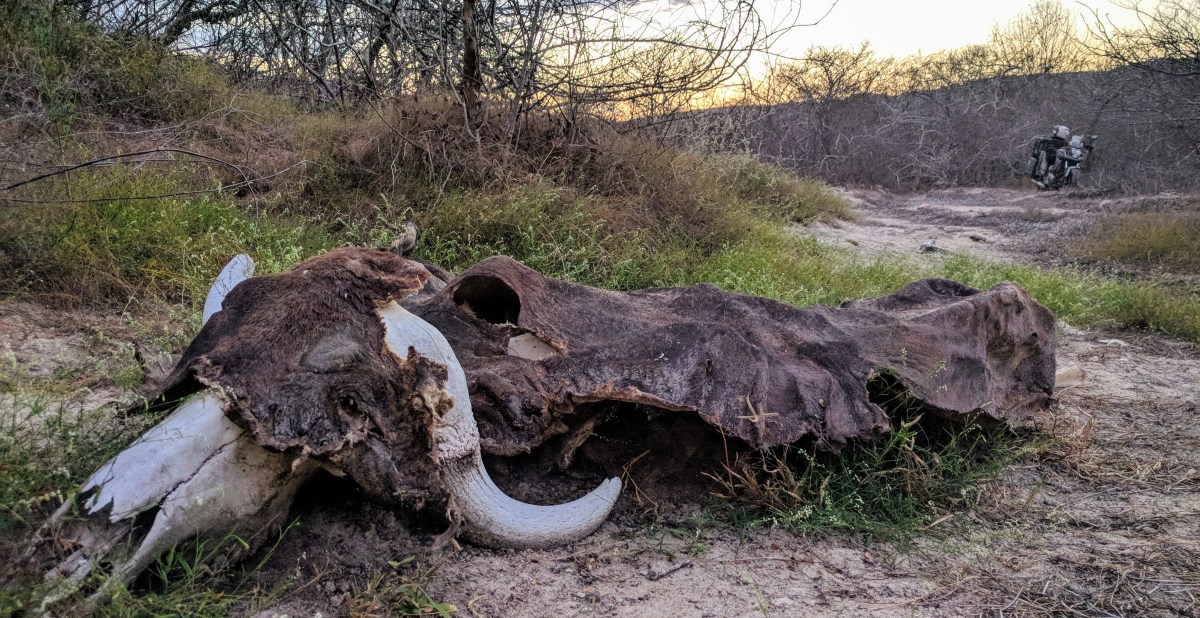 North? Nobody Ever Goes&nbsp;North.